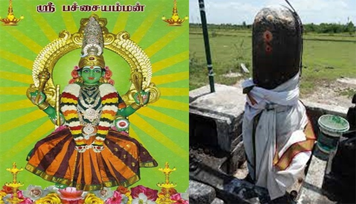 வாழைப்பந்தல் அருள்மிகு பச்சையம்மன் திருக்கோயில்