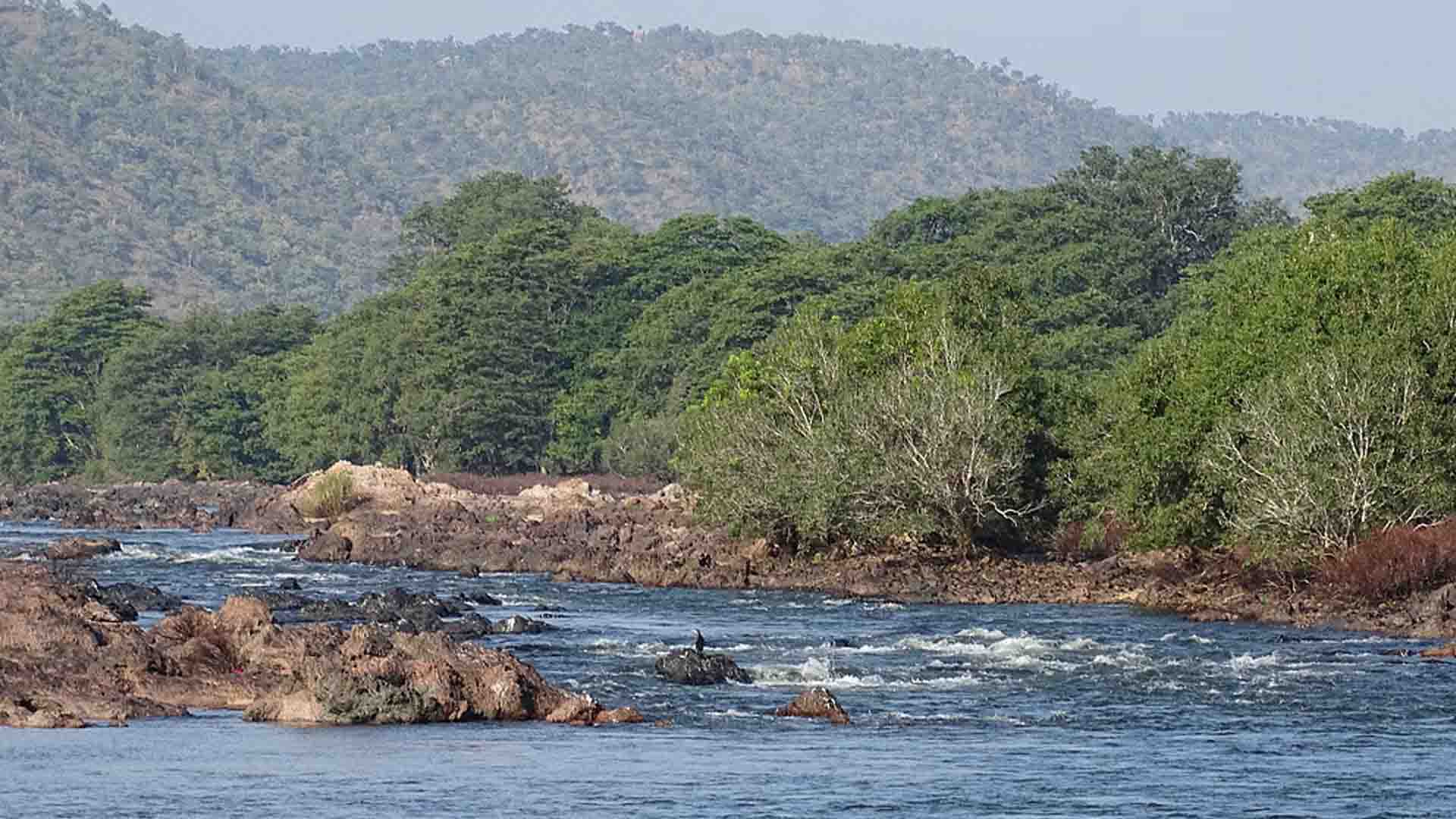 கர்நாடகம் – தமிழகம் இடையே மீண்டும் தலைத்தூக்கும் காவிரி அரசியல்