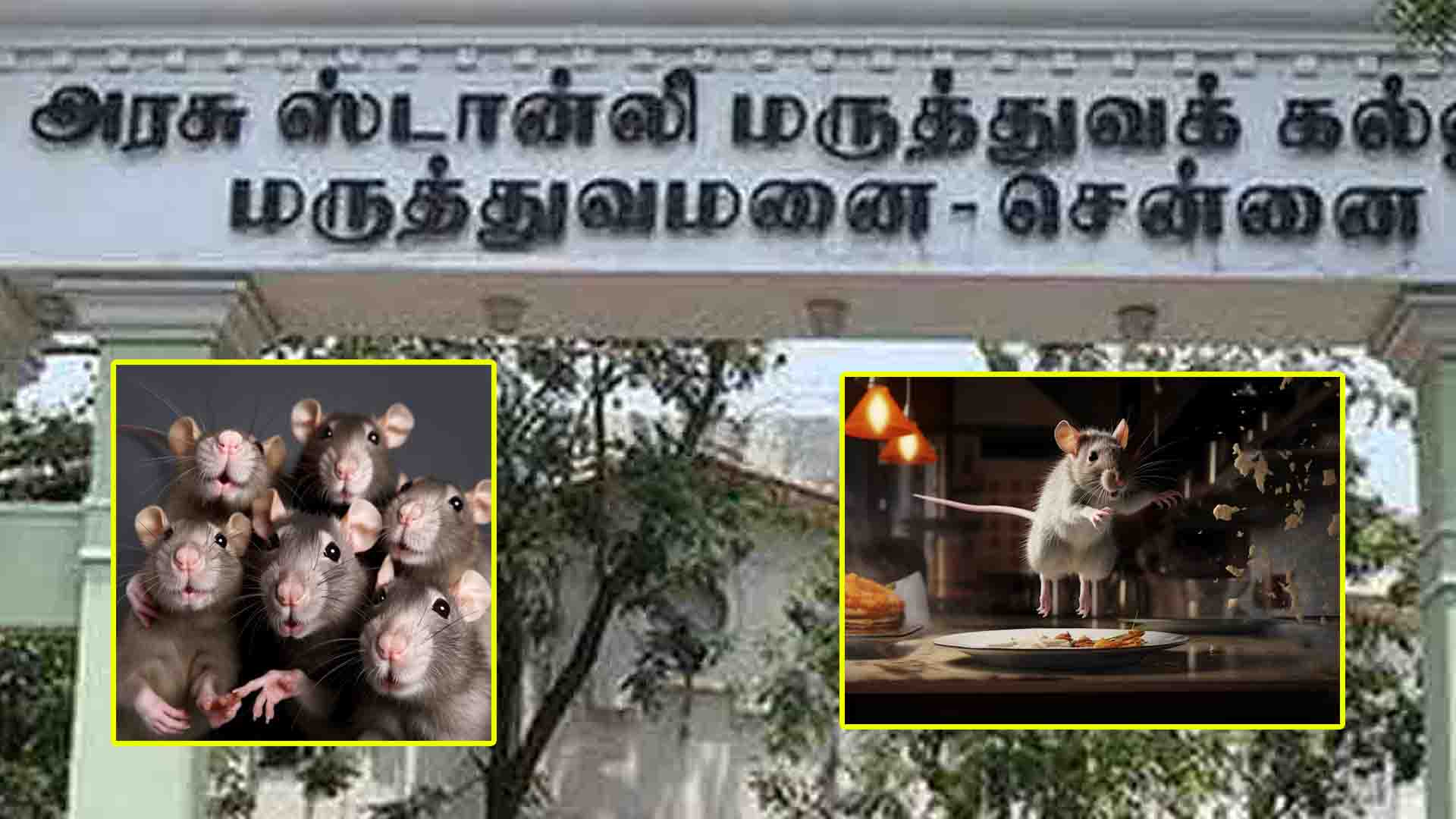 திண்பண்டங்களில் எலி-அரசு மருத்துவ மனையில் அவலம் !