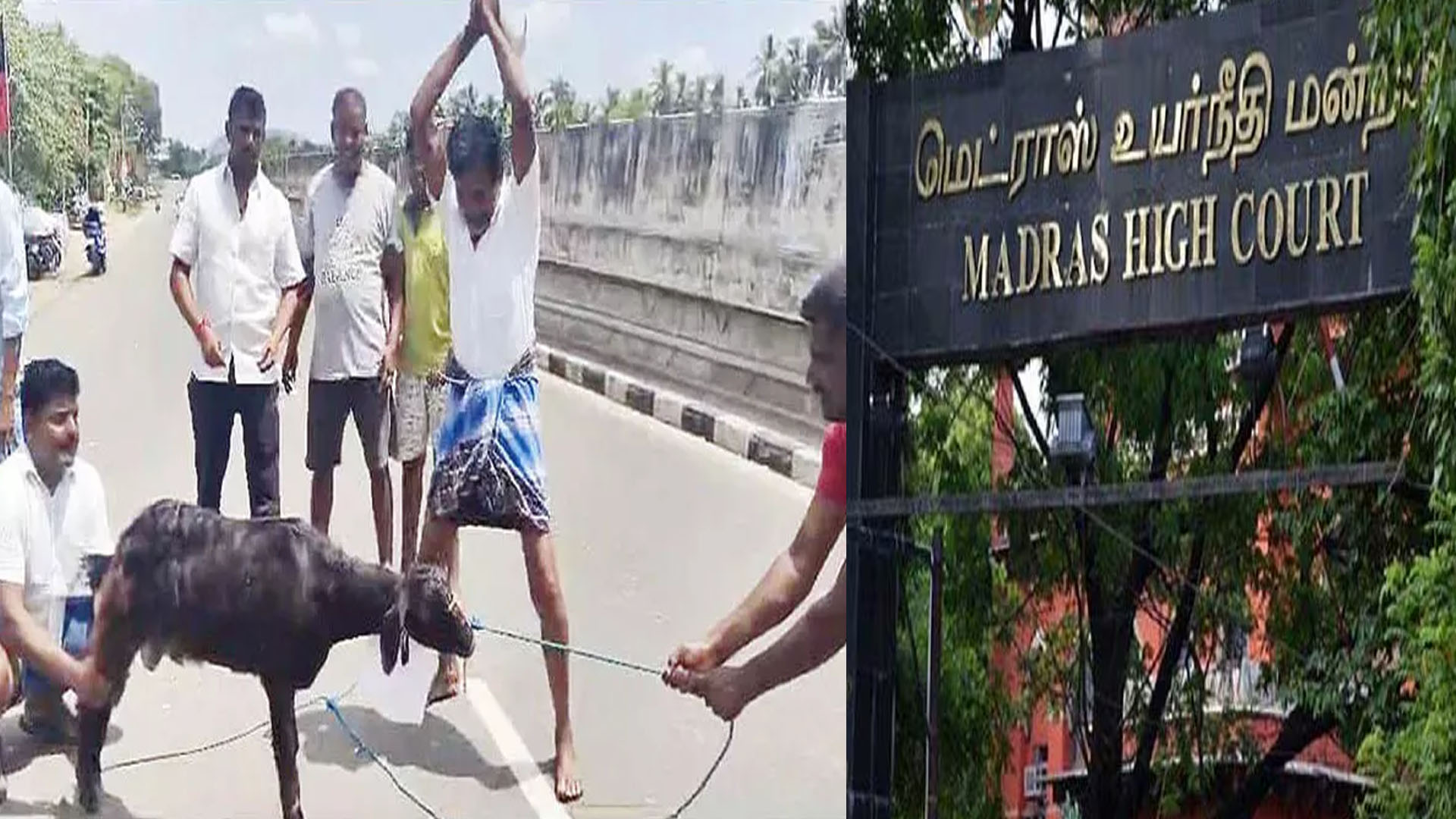 அண்ணாமலை விவகாரம் : தமிழக அரசுக்கு ஒரு வாரம் அவகாசம் – கோர்ட் அதிரடி உத்தரவு !